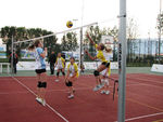 IMG 7603